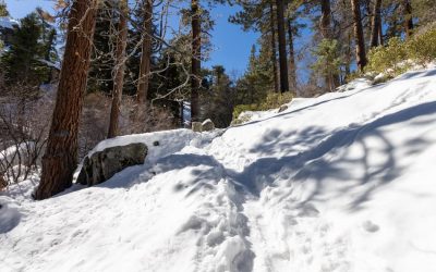 Best Big Bear Hikes: For Beginners & Experienced