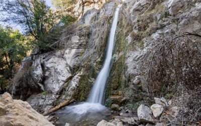 Lewis Falls Trail: 50-Foot Breathtaking Waterfall