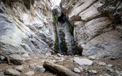 Millard Canyon Falls Guide: 50ft Falls & Scenic Trail