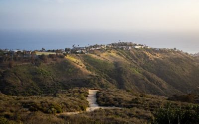 Top of The World Hike At Laguna Beach: 2024 Guide