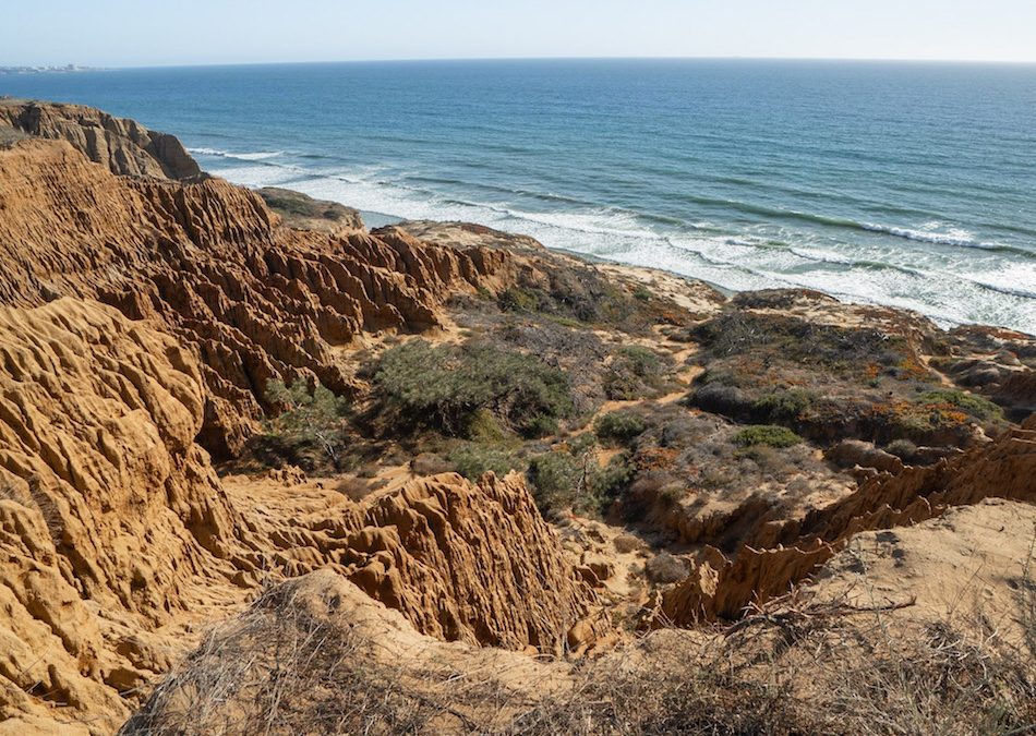 Torrey Pines Beach Trail Loop: This SD Hike is a Must!