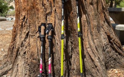 My One-Year Experience With TrailBuddy Trekking Poles (Review)