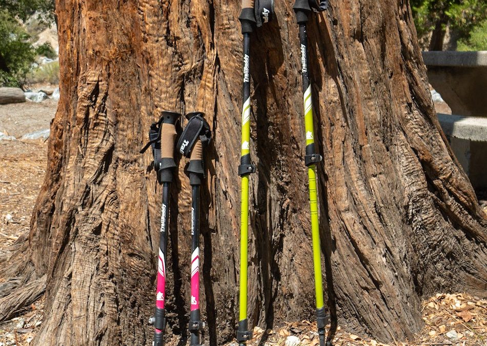 My One-Year Experience With TrailBuddy Trekking Poles (Review)