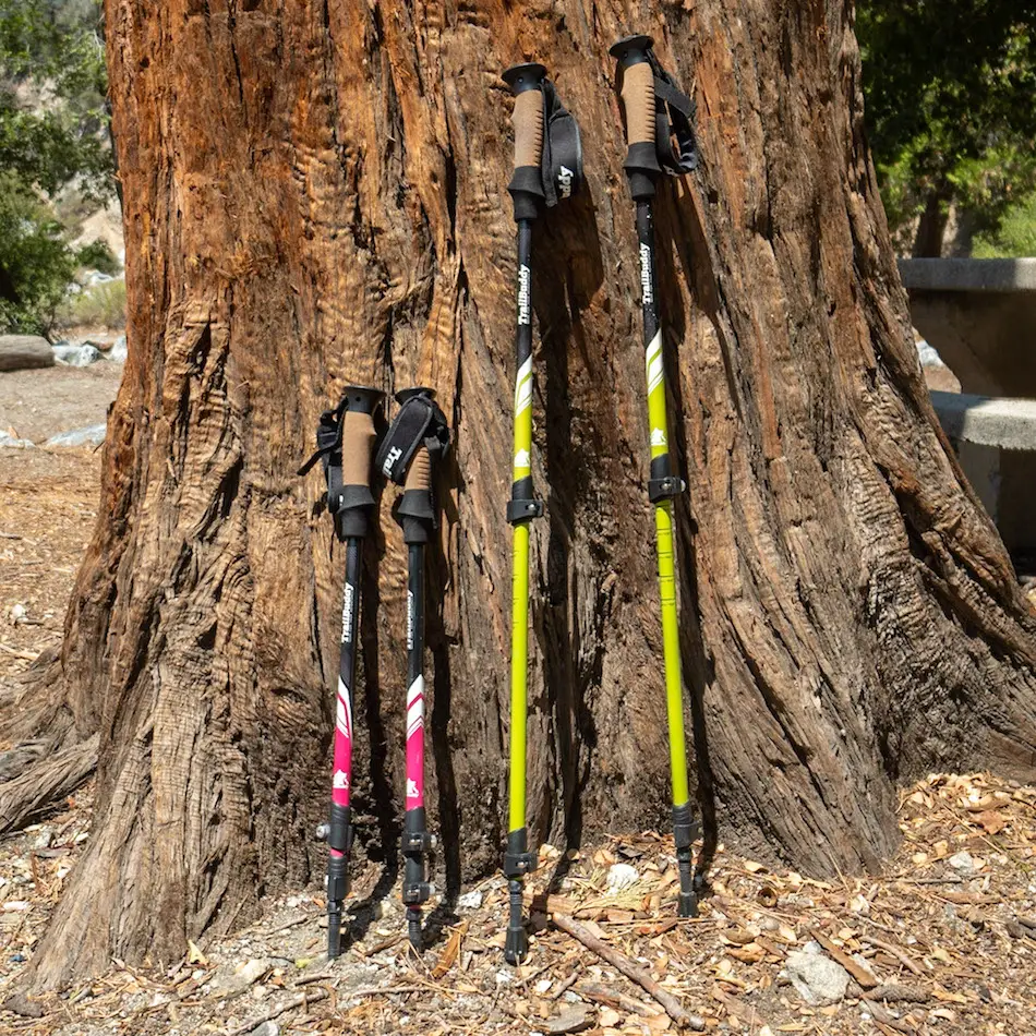 My One-Year Experience With TrailBuddy Trekking Poles (Review)