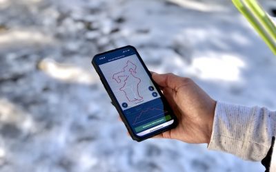 10 Best Hiking Apps in 2024