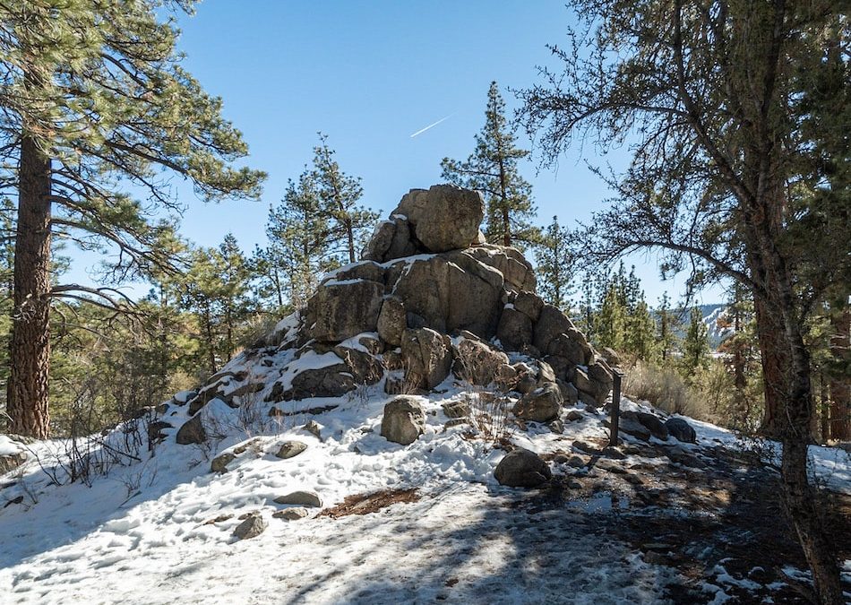 Woodland Trail 1E23: Interpretive Big Bear Hike For Kids