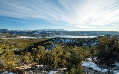 Best Big Bear Hikes: For Beginners & Experienced