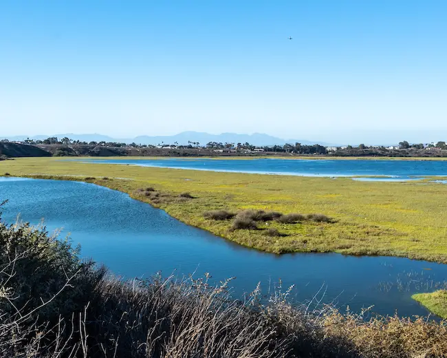 Mount Baldy from Upper Newport Bay Nature Preserve