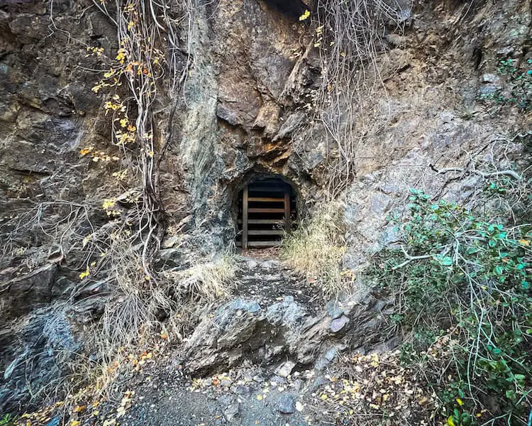 Tin Mine Canyon Trail