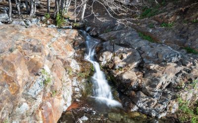 Etiwanda Falls: San Bernardino’s Most Popular Waterfall