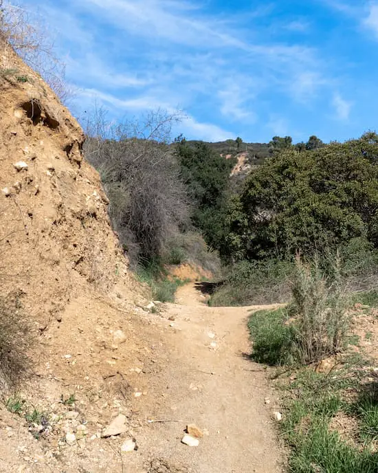 Walnut Canyon Trail