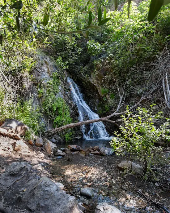 Holy Jim Falls Trail