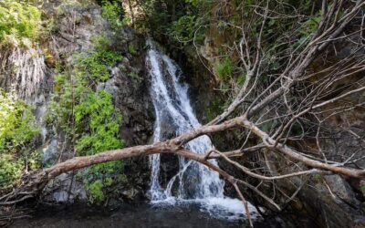 Holy Jim Falls: Plus Rarely Seen 2nd Larger Falls