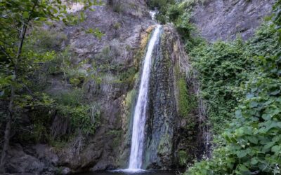 Falls Canyon Falls (Trabuco Cyn) & 2nd Never Seen Waterfall