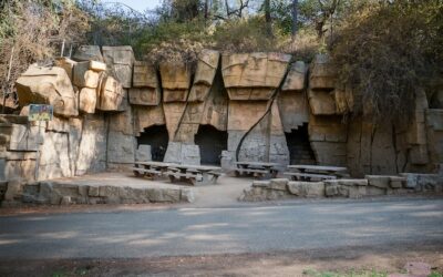 Old LA Zoo: Explore Abandoned Ruins In Griffith Park