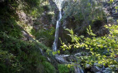 Cape Horn Falls: Secrets Of The East Fork