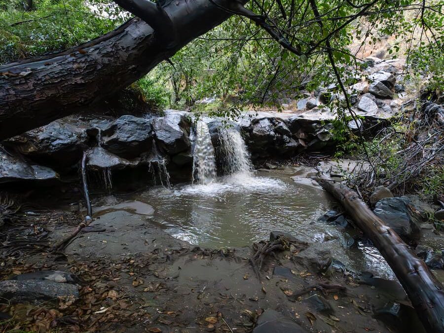 Big Dalton Canyon Trail: Gem Of The Glendora Mts