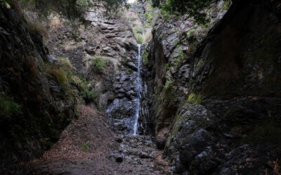 Bailey Canyon Nature Trail: Hike to a Locals Only Falls