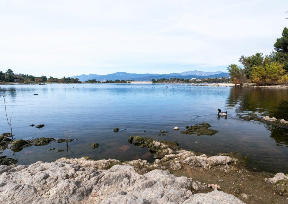 Bonelli Park Loop: Safe Stroll, Lake Views, & Playgrounds