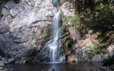 Sturtevant Falls: A Natural Paradise For Waterfall Junkies